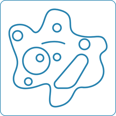 Bild für Auswahlnummer 6