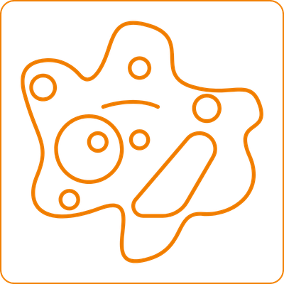 Bild für Auswahlnummer 6